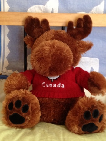 Morris the Cuddly Moose from Canada